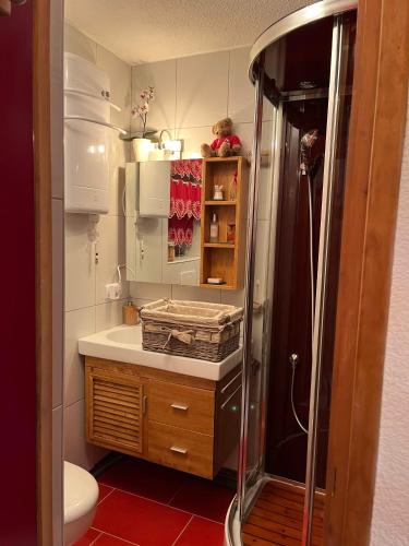 La petite salle de bains est pourvue d'une douche et d'un lavabo. dans l'établissement Le Refuge de Léonor, à Valmorel