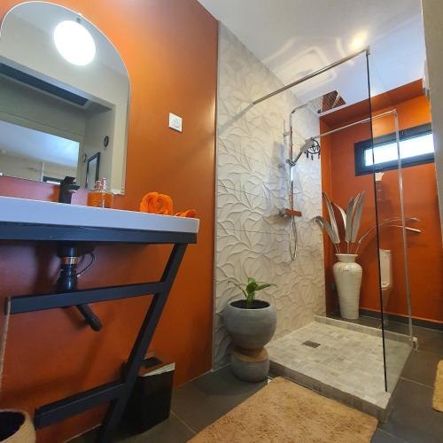 a bathroom with a shower and a sink and a mirror at À l'aube du sacré coeur in La Plaine des Palmistes