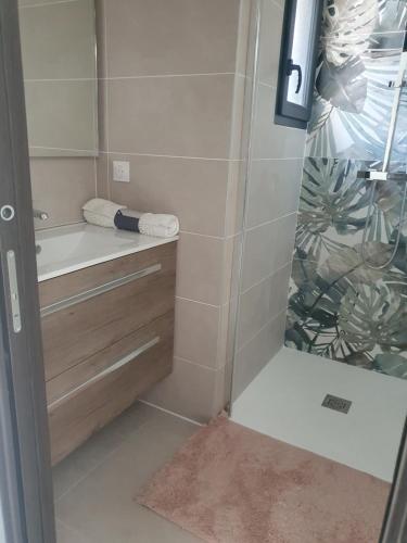 a bathroom with a shower and a sink at Villa Chene calme et sérénité Boulouris secteur résidentiel in Saint-Raphaël