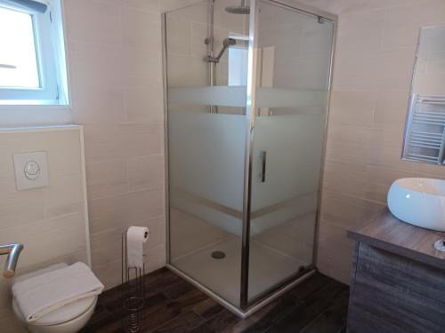 SennelyにあるRelais Solognotのバスルーム(シャワー、トイレ、シンク付)