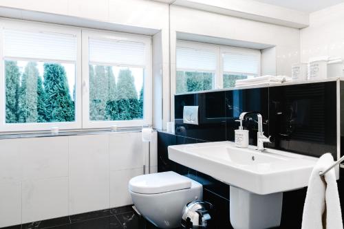 a bathroom with a sink and a toilet and windows at Neue Technologie Systemlösungen GmbH in Osterode