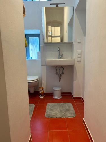 a bathroom with a sink and a toilet and a mirror at Urban Apartment, Internet, Veranda, Zentrum in Graz