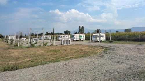 a group of rvs parked in a field at Agri Camping italiano - Eucalyptus in Shënkoll