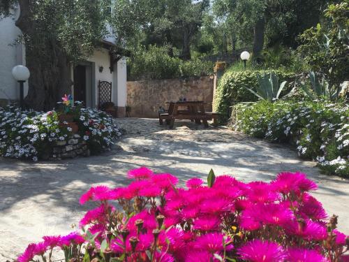 Azienda Agricola B&B Macchiaria