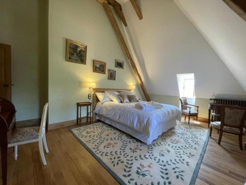 ein Schlafzimmer mit einem Bett und einem Teppich in einem Zimmer in der Unterkunft Maison d'Hôte du Chateau de Fontariol in Le Theil