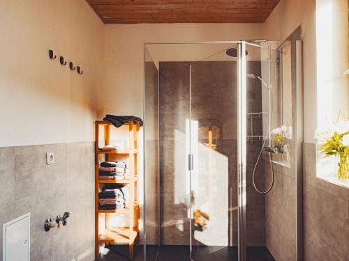 y baño con ducha y puerta de cristal. en Ferienwohnung Brühler Hof en Bad Berka
