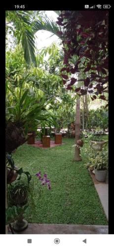 a garden with green grass and trees and plants at The Rock House in Katunayake