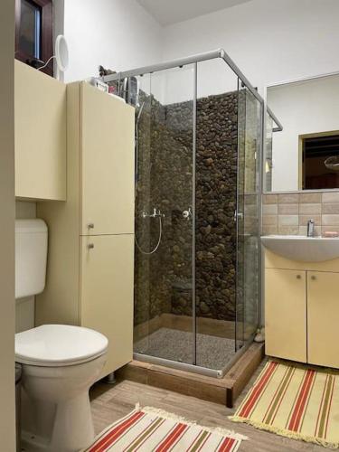 a bathroom with a shower with a toilet and a sink at Casa din Pădure in Petroşani