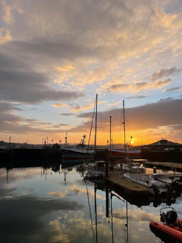 a group of boats docked in a marina at sunset at Padstow Townhouse in Padstow