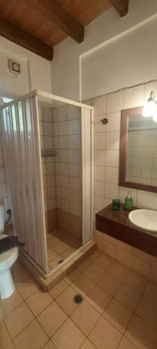 a bathroom with a shower and a toilet and a sink at Ο ΜΠΑΞΕΣ in Livadi Astypalaias