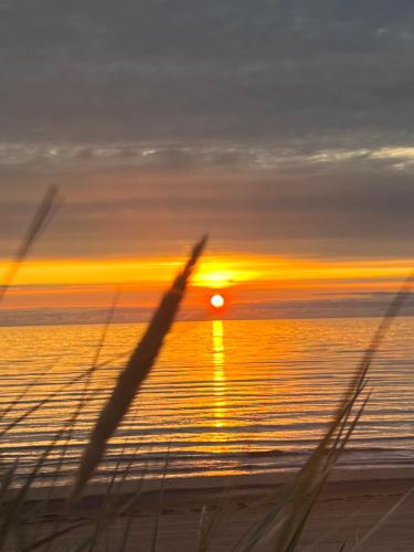 a sunset on the beach with the sun setting at Mellbystrand Björkvägen Apartment in Mellbystrand