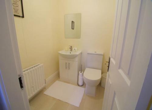 a bathroom with a white toilet and a sink at Newly refurbished village flat in Cullybackey