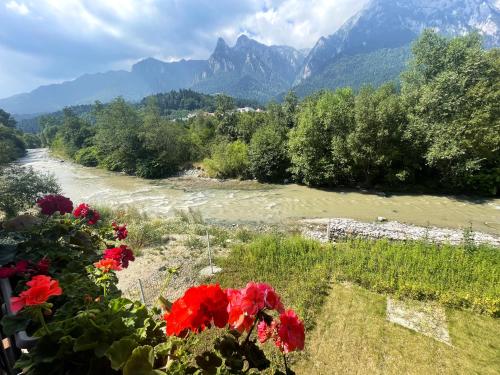 a view of a river with red flowers and mountains at Cross Caraiman View 2 in Buşteni