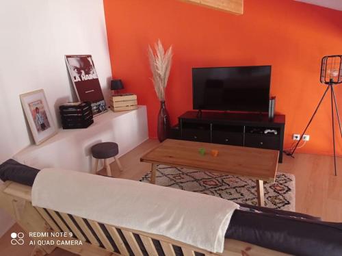 un salon avec un canapé et une télévision dans l'établissement Loft vue Palais des Papes, à Avignon