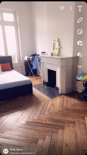 a living room with a bed and a fireplace at Location chambre long et court séjour in Saint-Étienne