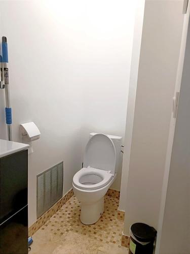 Bilik mandi di Bron centre appartement meublé avec jacuzzi