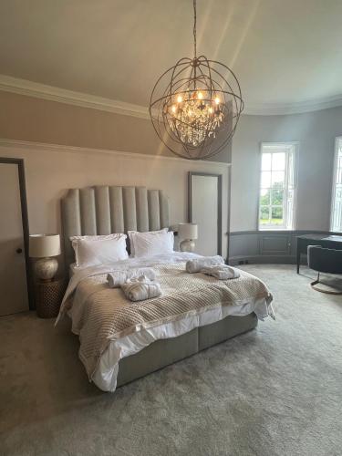a bedroom with a large bed and a chandelier at Darcy West in Colchester
