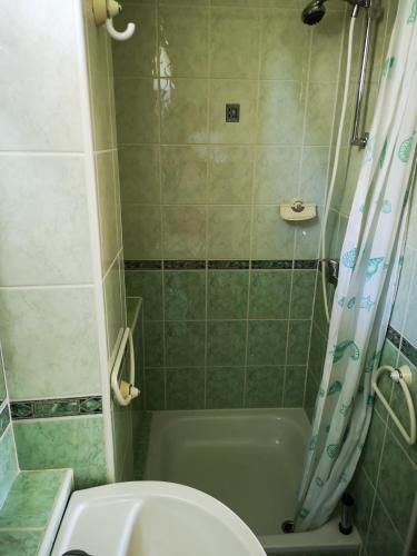 Bertalan Apartman 욕실