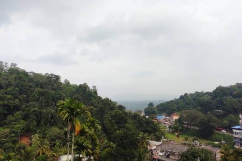 Landskap semula jadi dekat dengan apartmen