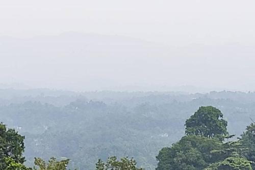 Landskap semula jadi dekat dengan apartmen