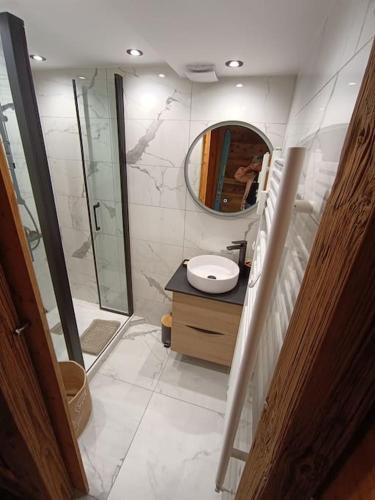une salle de bain avec une douche, un lavabo et un miroir dans l'établissement Petite appart charmante!, à Montriond