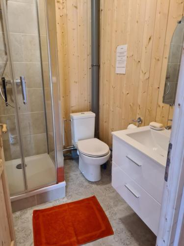 a bathroom with a toilet and a shower and a sink at Chalet chaleureux in Crillat