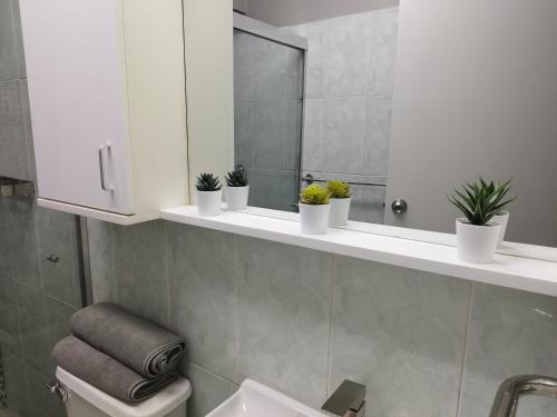 a bathroom with potted plants on a shelf with a mirror at Chic y Hermoso Apartamento Amoblado y Equipado Los Mangos 3 Valencia-Venezuela in Valencia