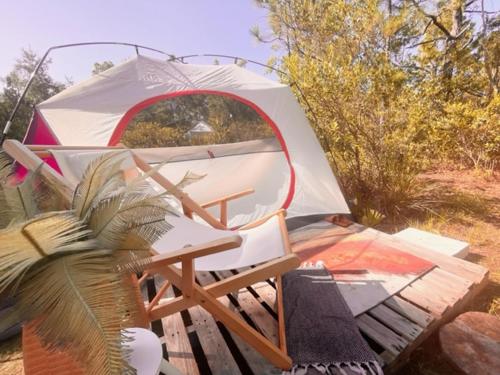 a tent with a chair and a table and a plant at eco-dome off-grid garden glamping in Bithlo