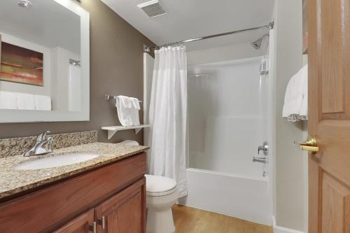 La salle de bains est pourvue de toilettes, d'un lavabo et d'une douche. dans l'établissement TownePlace Suites by Marriott College Station, à College Station