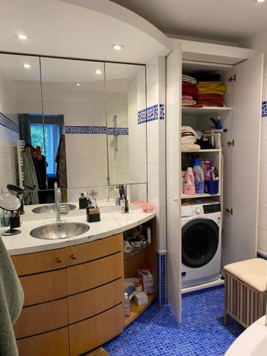 een badkamer met een wastafel en een wasmachine bij Appartement 65m2 avec balcon in Neuilly-sur-Seine