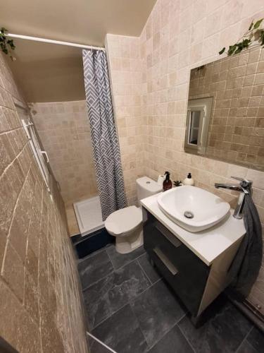 une salle de bain avec un lavabo, des toilettes et une douche dans l'établissement studio cosy 1er centre Laval vu château et jardin, à Laval