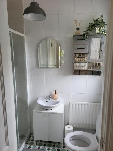 a bathroom with a toilet and a sink and a mirror at Tullyvinney Lodge in Raphoe
