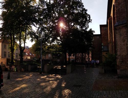 un soleil brillant à travers un arbre sur une rue en brique dans l'établissement Koje Sansibar, à Flensbourg