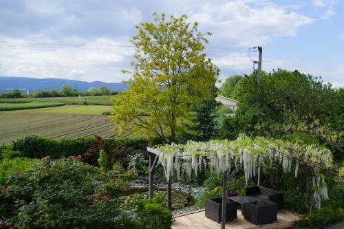 Au Relais de l'Ill – Photos 3