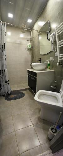 a bathroom with a sink and a toilet and a mirror at Dom Adonis in Dilijan