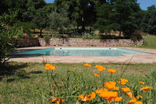una piscina en un campo de flores en Le Pré Lilas, en Roquebrune-sur-Argens