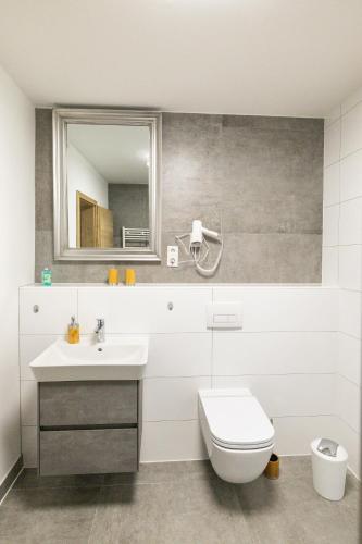 a bathroom with a sink and a toilet and a mirror at sehusa living in Seesen
