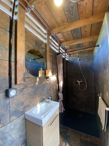 La salle de bains est pourvue d'un lavabo et d'une douche. dans l'établissement Bohémienne regarde la mer., à Plogoff
