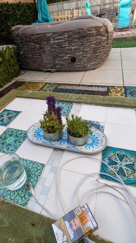 two potted plants on a tile floor with a bath tub at Cotswold VIP Regency Lodge in Cheltenham