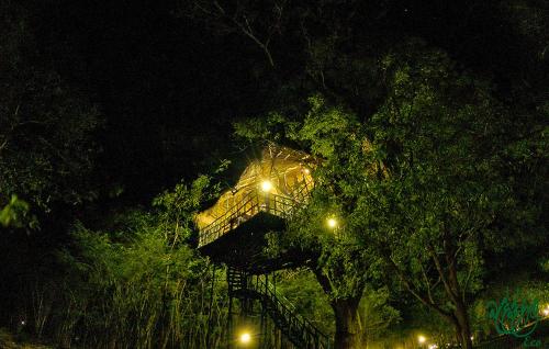 a tree house in the middle of the forest at night at Yala Beddegama Eco in Kataragama