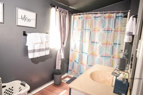 uma casa de banho com um lavatório e uma cortina de chuveiro em Couple Getaway 5 mins from Downtown em Knoxville