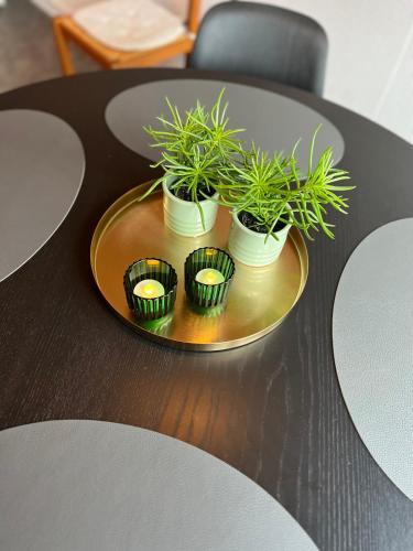a table with four green plants on a gold plate at Hyggeligt lille anneks tæt på Ribe in Ribe