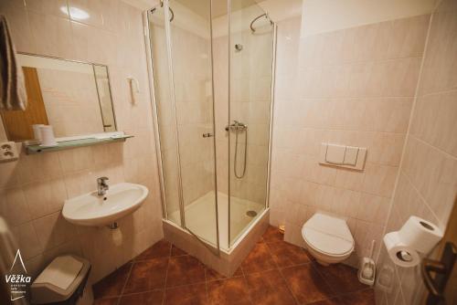 a bathroom with a shower and a toilet and a sink at Pension Věžka in Šternberk