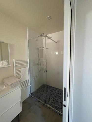 una doccia con porta in vetro in bagno di Apartment 4 confort&modern a Arad