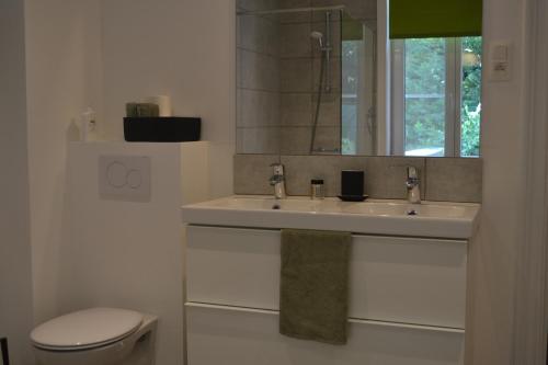 ein Badezimmer mit einem Waschbecken, einem WC und einem Spiegel in der Unterkunft De zwarte deur in Genk