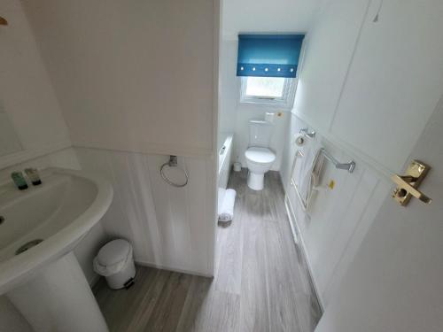 een witte badkamer met een toilet en een wastafel bij Cotswold Lodges in Cirencester