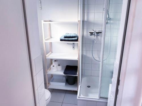 ein Bad mit einer Dusche und weißen Regalen in der Unterkunft Zwei Apartments für Gruppen - Phantasialand, Köln, Bonn in Brühl