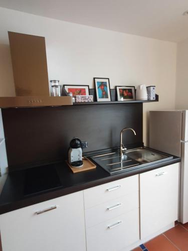 Η κουζίνα ή μικρή κουζίνα στο Camelia 12 Apartments