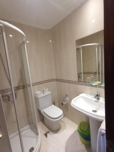 a bathroom with a toilet and a shower and a sink at PENSION LUCERNA in Vigo
