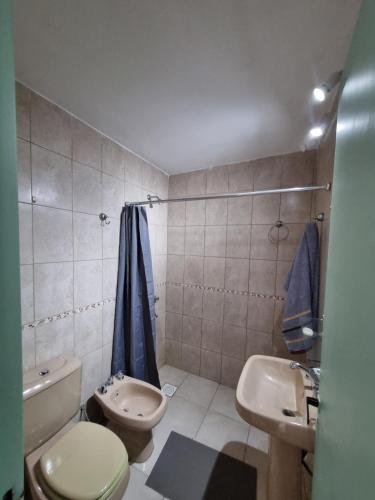 La salle de bains est pourvue de toilettes, d'un lavabo et d'une douche. dans l'établissement Temporario 3B, à Resistencia